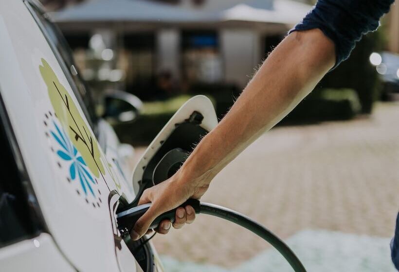 Eco Friendly Hotel Dália