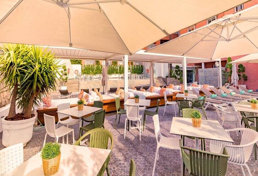 ホテル Fenix Torremolinos  Adults Only Recommended