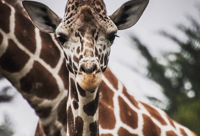 호텔 Hilton Garden Inn Bristol City Centre