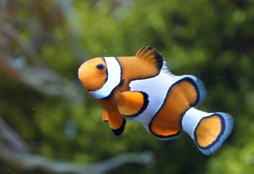 호텔 Hilton Garden Inn Bristol City Centre