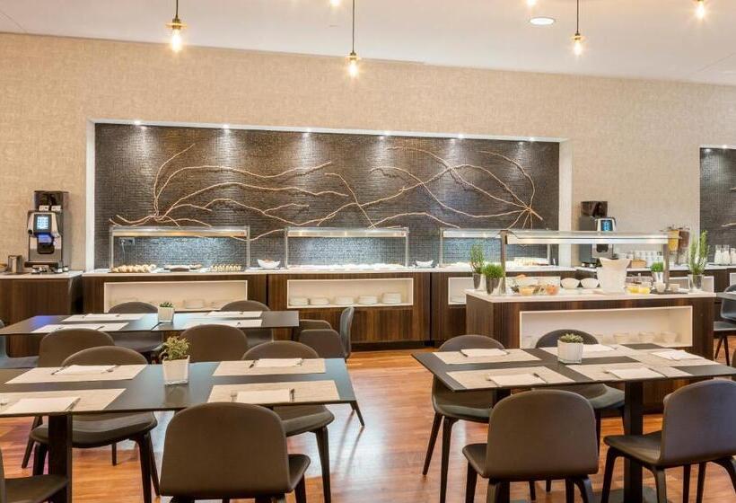 هتل Ilunion Pio XII