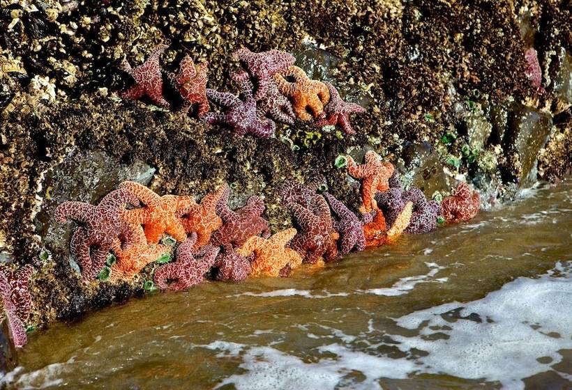 Отель Inn At Cannon Beach