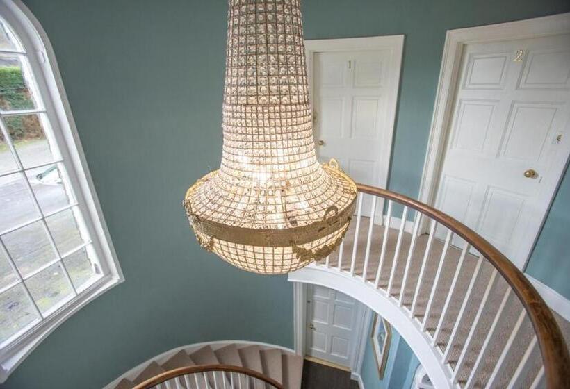 호텔 Ivy Guest House