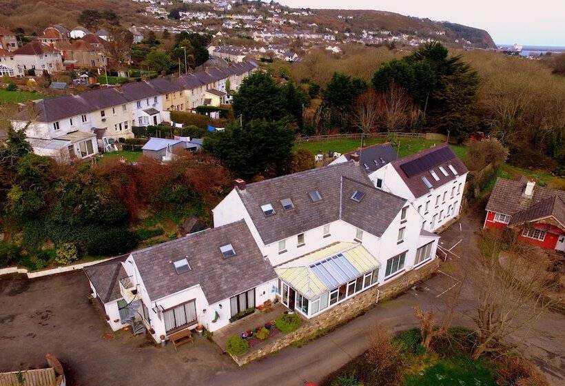 酒店 Ivybridge Guesthouse