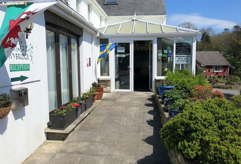 酒店 Ivybridge Guesthouse