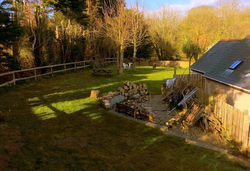 酒店 Ivybridge Guesthouse