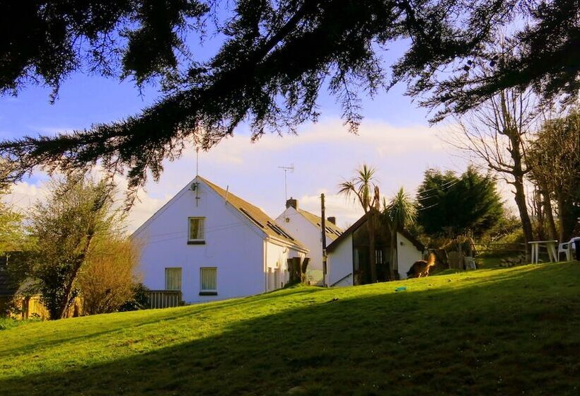 酒店 Ivybridge Guesthouse