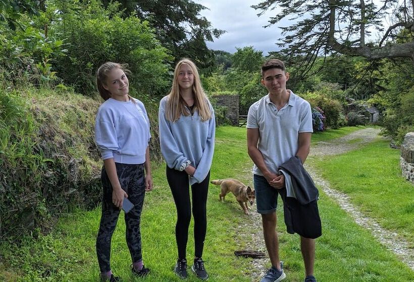 酒店 Ivybridge Guesthouse