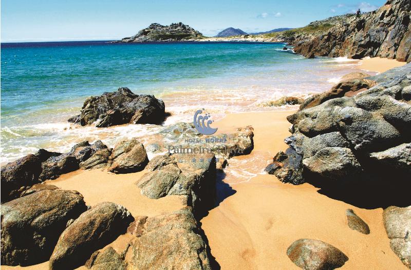 فندق Norat Palmeira Playa