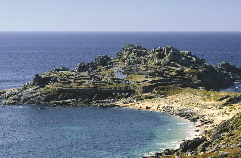 فندق Norat Palmeira Playa