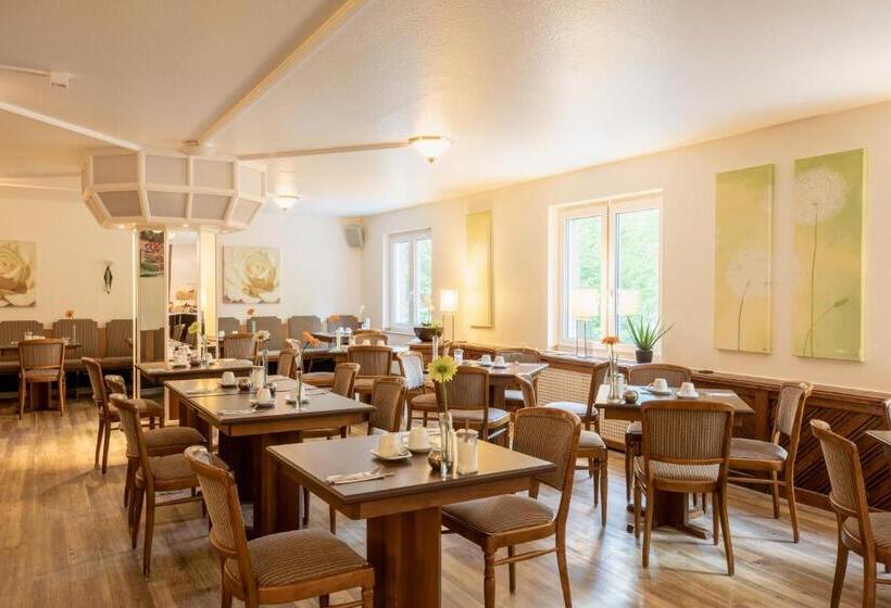 Отель The Niu Stream