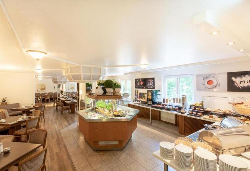 Отель The Niu Stream