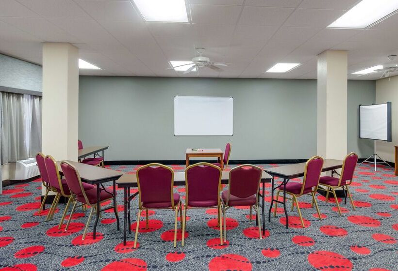 Surestay Plus Hotel By Best Western Houston Medical Center