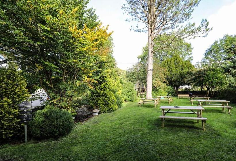 酒店 The Black Swan