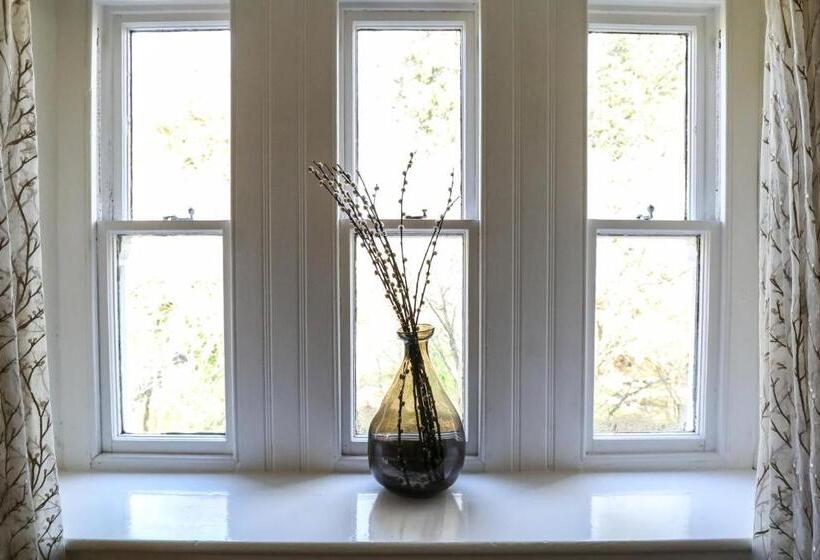 酒店 The Black Swan