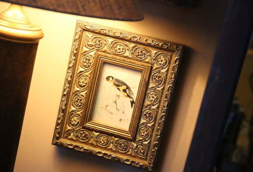 Отель Cairn Lodge