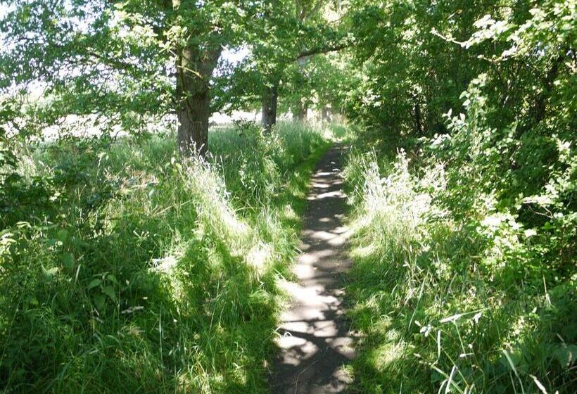 ホテル The New Inn