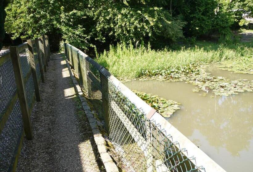 ホテル The New Inn