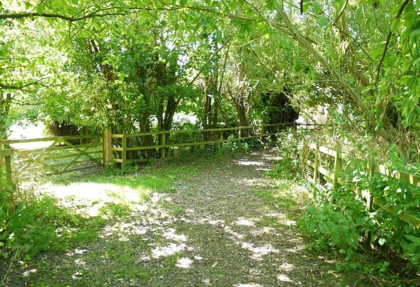 ホテル The New Inn