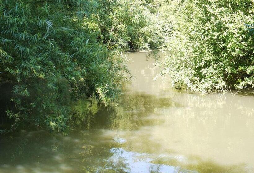 ホテル The New Inn