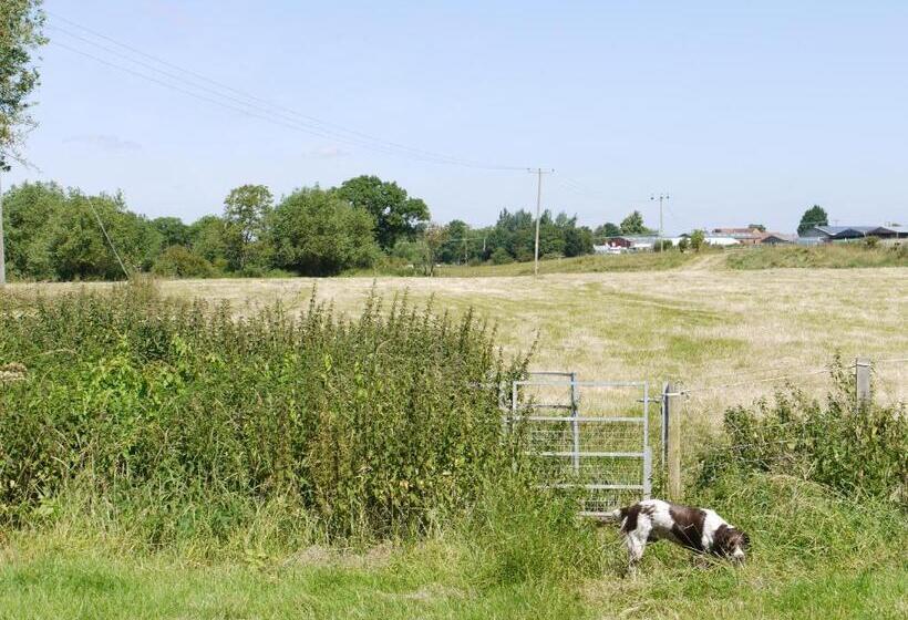 ホテル The New Inn