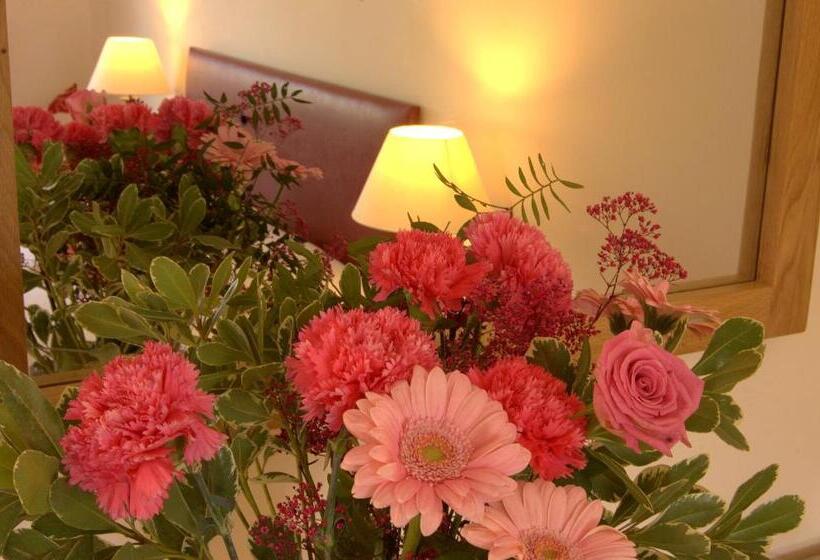 ホテル The New Inn