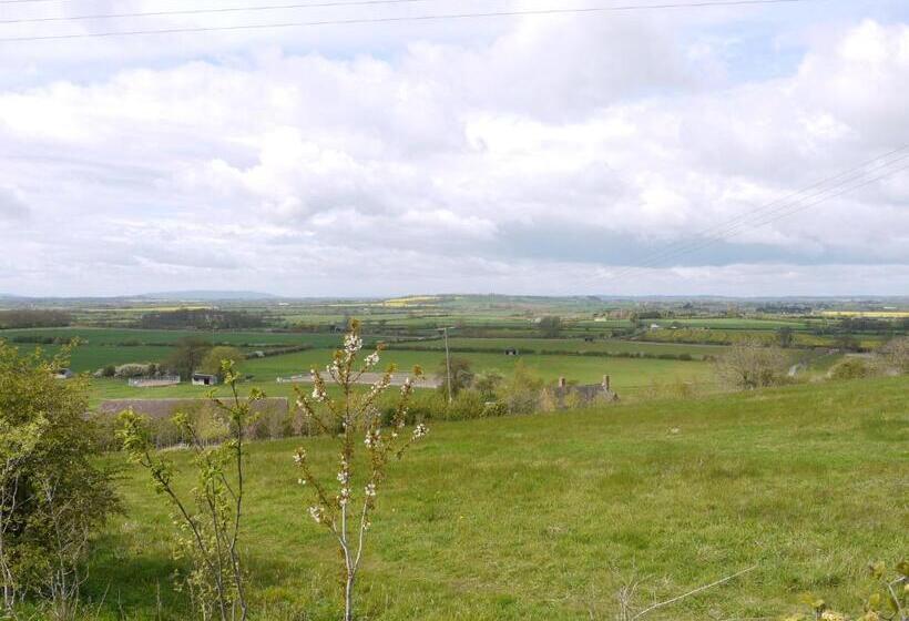 ホテル The New Inn