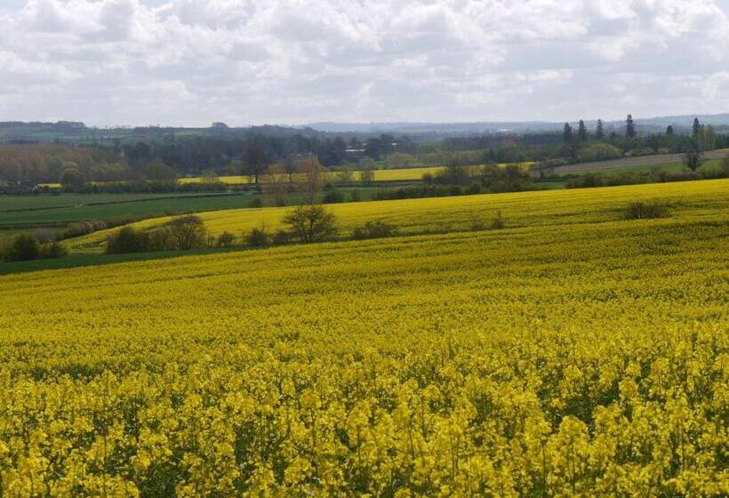 ホテル The New Inn