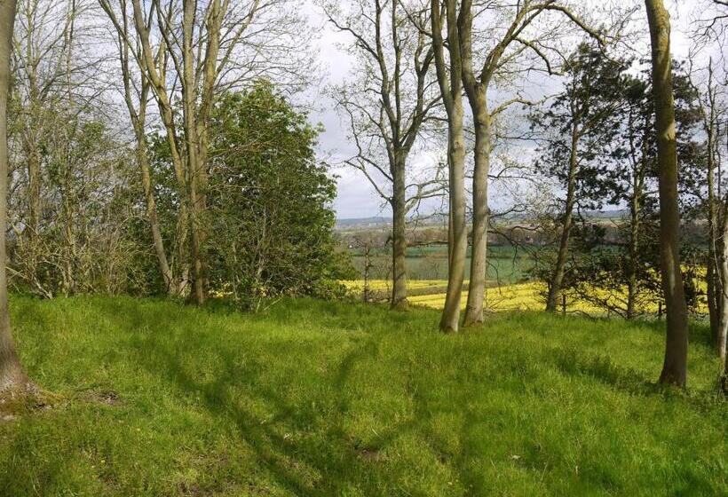 ホテル The New Inn