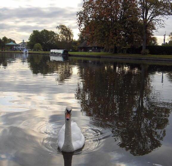 ホテル The New Inn