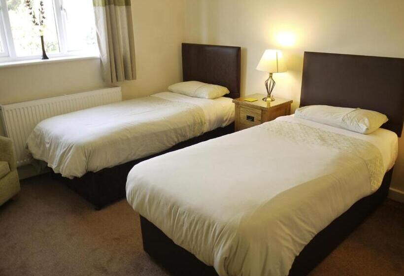 ホテル The New Inn