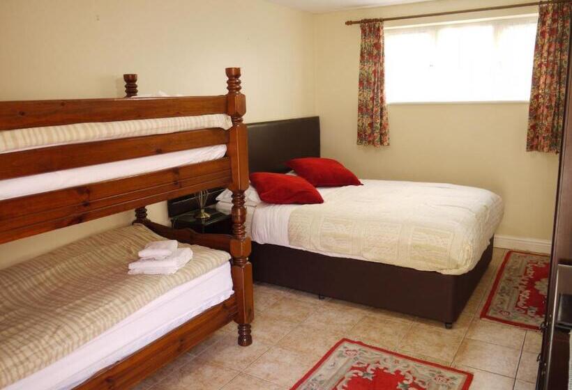 ホテル The New Inn