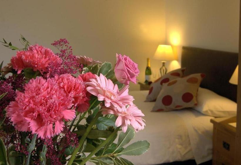 ホテル The New Inn