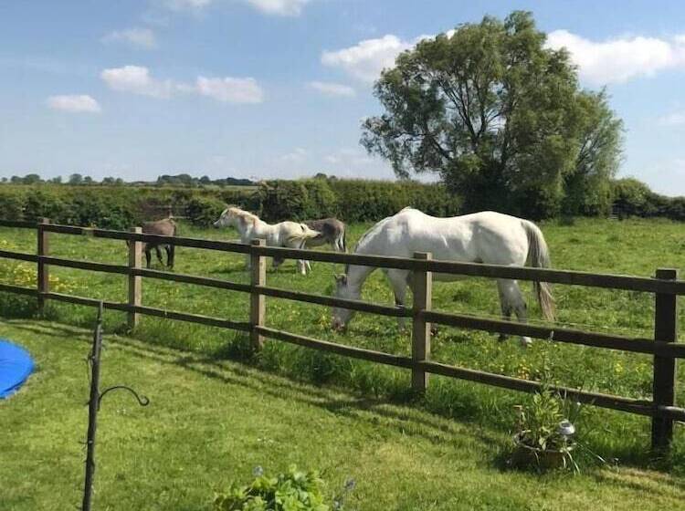 فندق The Paddock At Peacock Farm