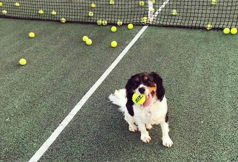 فندق The Paddock At Peacock Farm