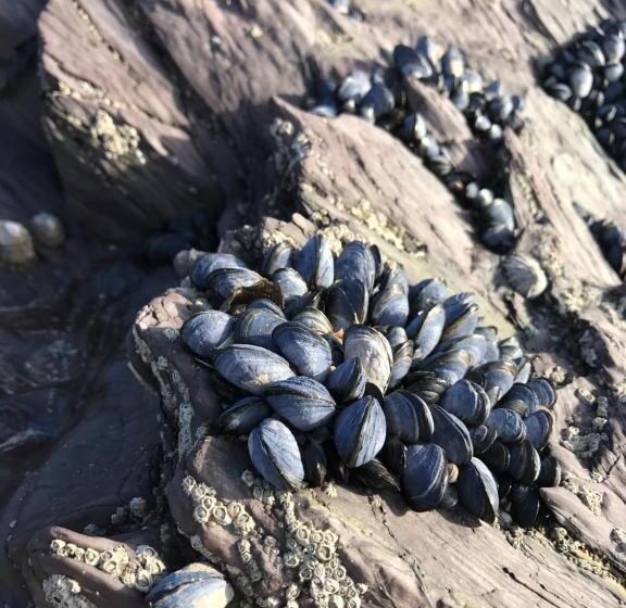 酒店 The Slipway B&b