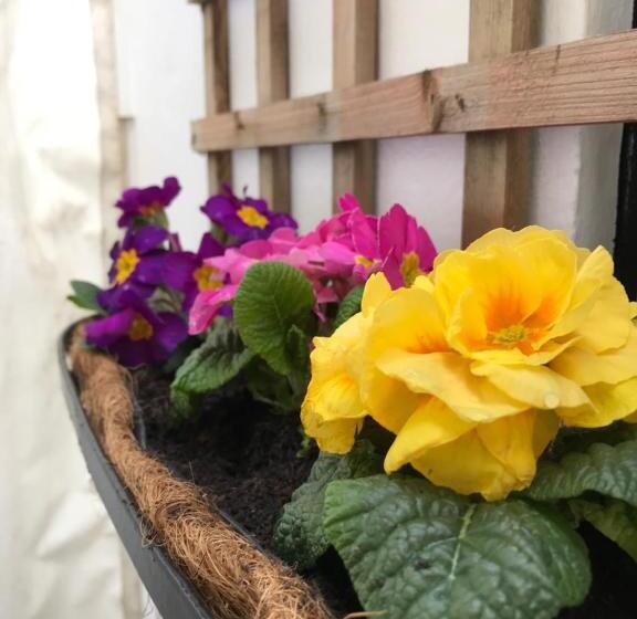 酒店 The Slipway B&b