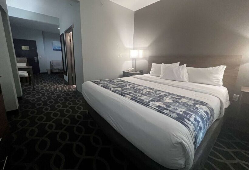 酒店 Wingate By Wyndham Humble/houston Intercontinental Airport