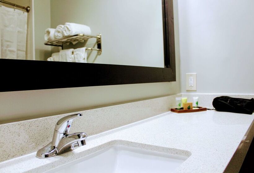 酒店 Wingate By Wyndham Humble/houston Intercontinental Airport