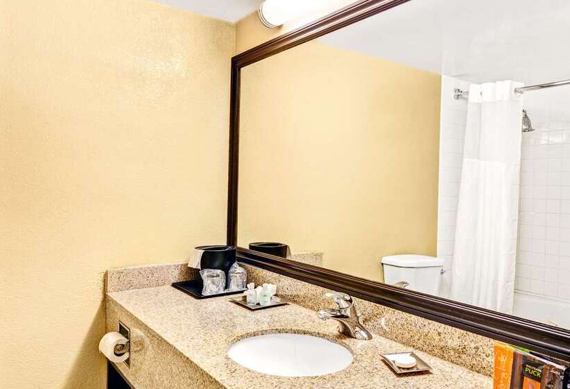 酒店 Wyndham Garden Detroit Metro Airport