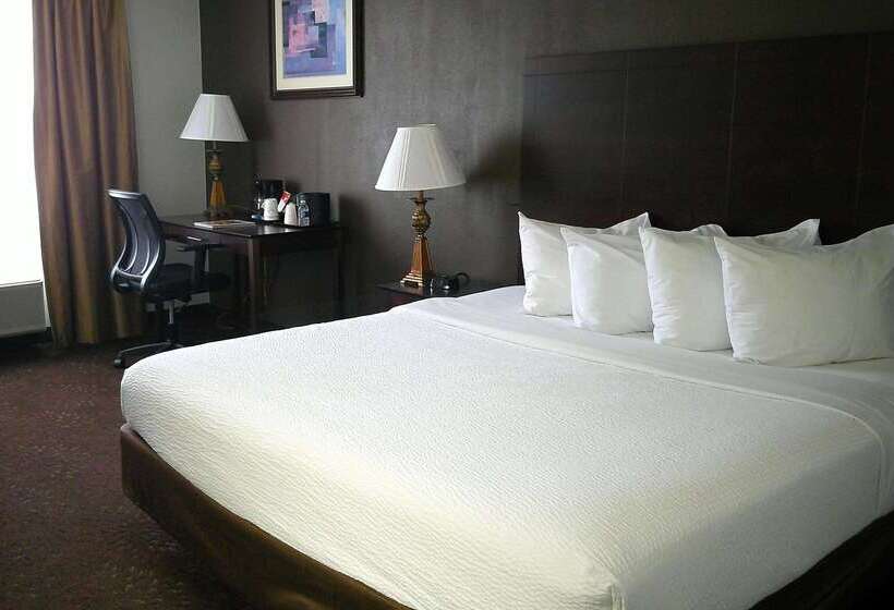 酒店 Wyndham Garden Detroit Metro Airport