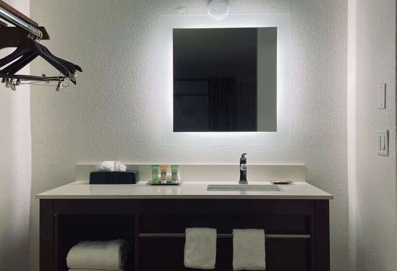 酒店 Wyndham Garden Detroit Metro Airport