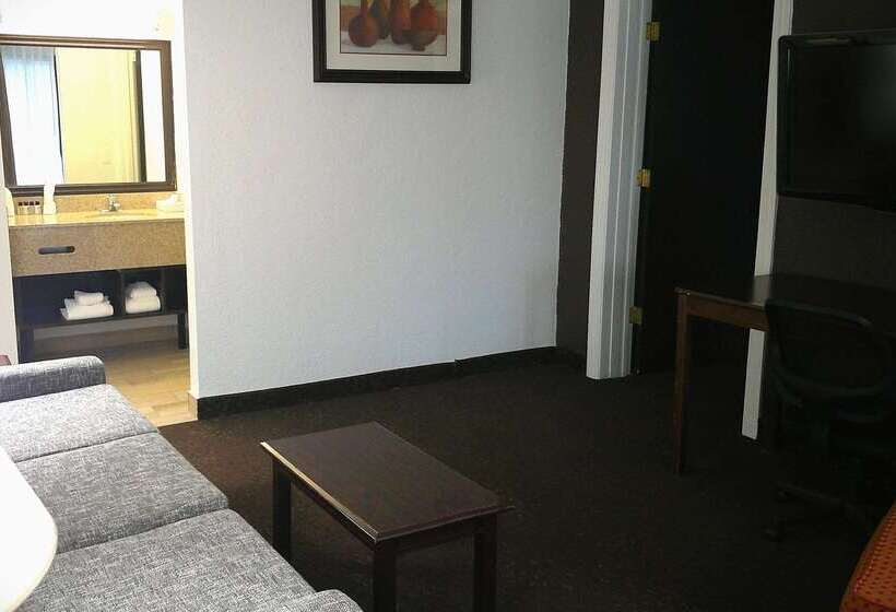 酒店 Wyndham Garden Detroit Metro Airport