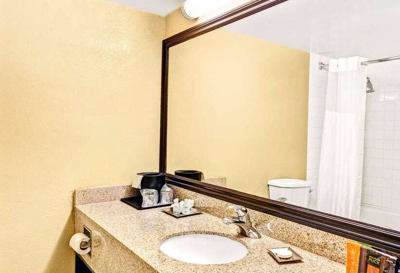 酒店 Wyndham Garden Detroit Metro Airport