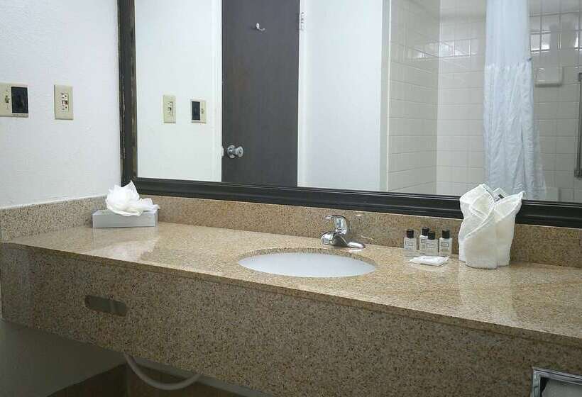 酒店 Wyndham Garden Detroit Metro Airport