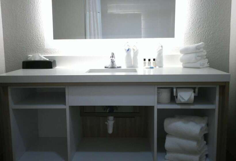 酒店 Wyndham Garden Detroit Metro Airport