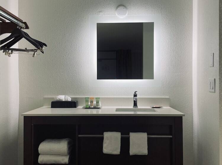 酒店 Wyndham Garden Detroit Metro Airport