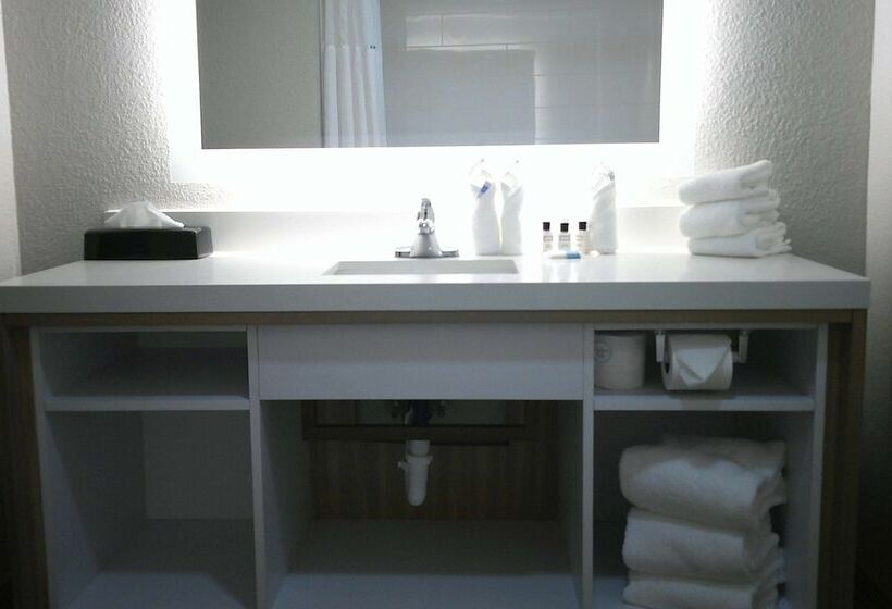 هتل Wyndham Garden Detroit Metro Airport