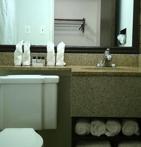 酒店 Wyndham Garden Detroit Metro Airport