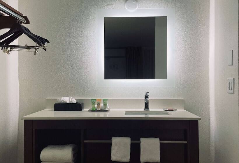 酒店 Wyndham Garden Detroit Metro Airport